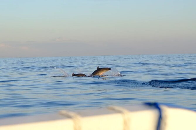 Lovina Sunrise Dolphin with option snorkeling and waterfall - Getting From Your Hotel to Celuk Agung Beach (Without Wasting Time)