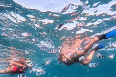 Lovina Sunrise Dolphin with option snorkeling and waterfall - Lovina Sunrise Dolphin Viewing: The Best Part for Most People