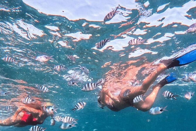 Lovina Sunrise Dolphin with option snorkeling and waterfall - Lovina Sunrise Dolphin Viewing: The Best Part for Most People