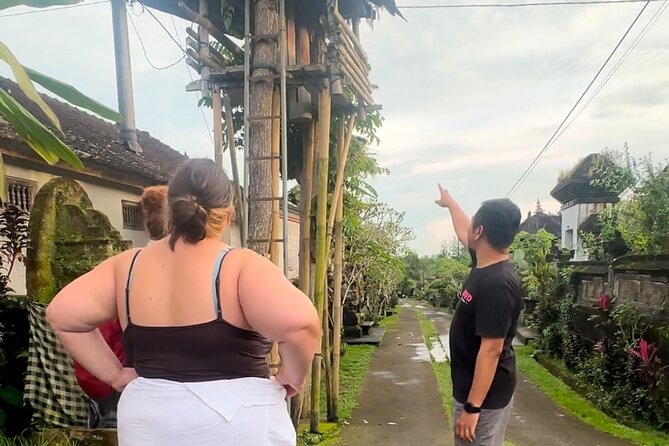 Magical Village Tour & Private Dinner with Fireflies in Bali - Firefly viewing: how to set your expectations