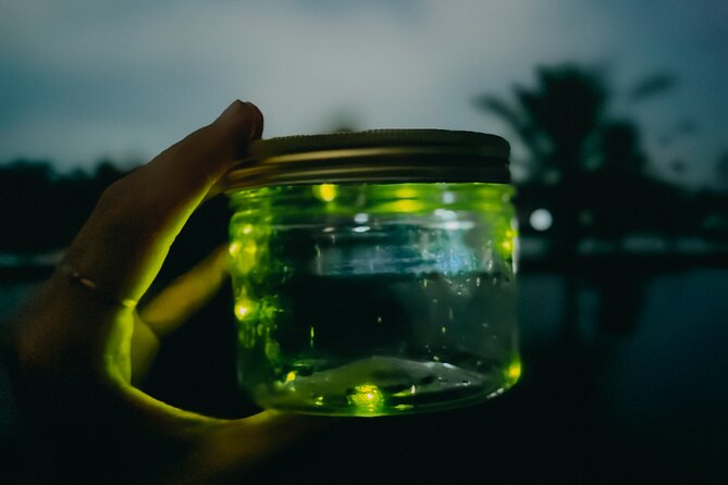 Magical Village Tour & Private Dinner with Fireflies in Bali - Price and value for a private firefly dinner tour in Bali
