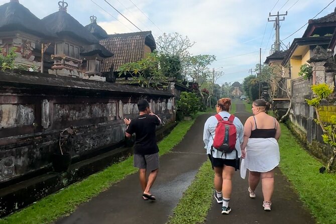 Magical Village Tour & Private Dinner with Fireflies in Bali - Dinner in Bali countryside: Nasi Goreng or Mie Goreng