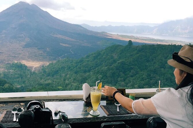 Monkey Forest, Holy Water Temple & Hot Springs Tours - Stop 2: Tegalalang Rice Terrace (1 Hour with Irrigation Stories)
