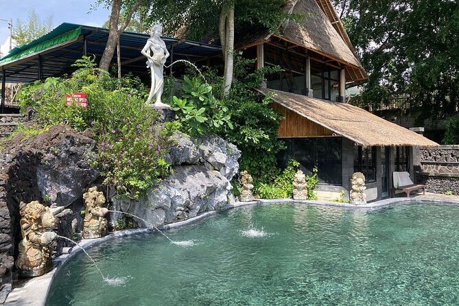 Monkey Forest, Holy Water Temple & Hot Springs Tours - Pickup, Private Group Energy, and the Pace Between Stops