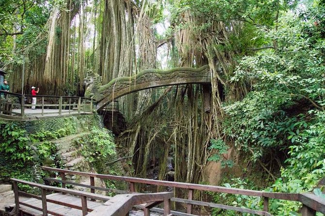 Monkey Forest Ubud Half day Tour - Monkey Forest: Monkeys, Temple Corners, and the Butterfly Park Add-On