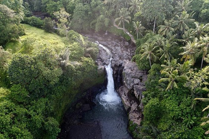 Monkey Forest Ubud Half day Tour - Tegalalang Rice Terrace: Iconic Views Without the Full-Day Trek