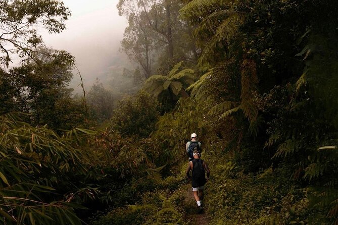 Mount Agung Sunrise Trekking with Local Guide - Who this trek suits best (and who should reconsider)