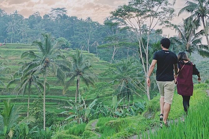 Mount Batur Sunrise Trekking Private Guide - Who should book this Mount Batur sunrise trek