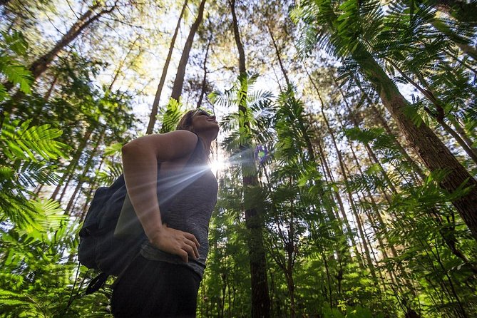 Mount Batur Sunrise Trekking With Breakfas - What’s included (and why it’s good value at $59.94)