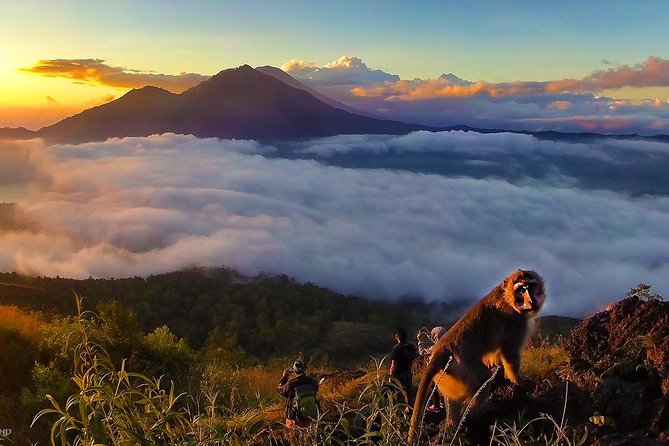 Mount Batur Sunrise Trekking With Breakfas - Optional coffee plantation and Luwak coffee stop