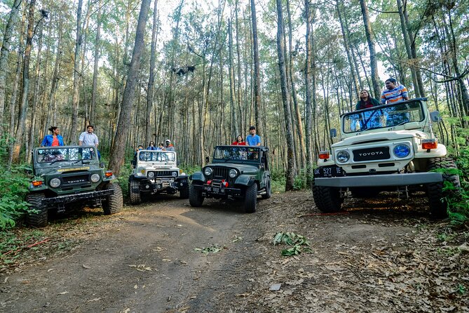 Mount Batur Trekking by 4wd Jeep - Why Mt. Batur sunrise works with a 4WD Jeep