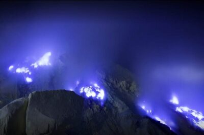 Mount Ijen Volcanic Crater Overnight Trip from Bali - The long drive from Bali: how the day is paced