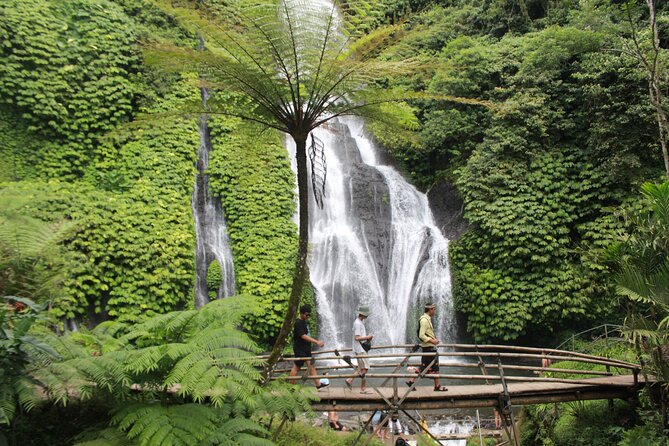 Munduk Private Customized Highlights Tour - Banyumala Twin Waterfalls: A Tranquil Pool You Might Want to Try