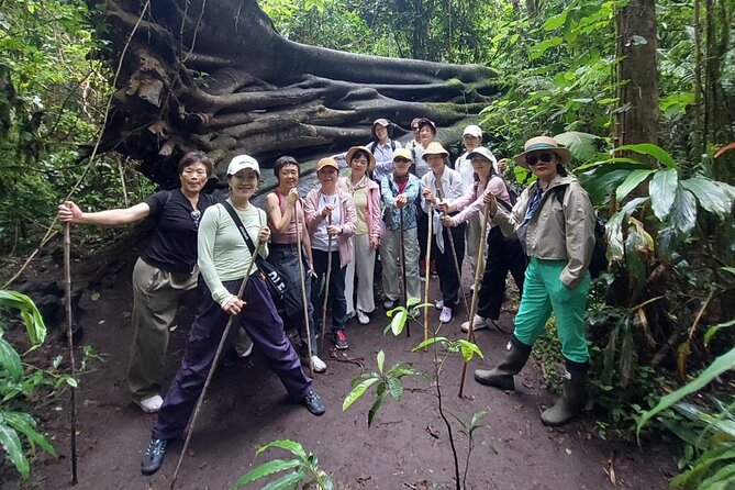 Munduk Twin Lake Jungle Trek with Sacred Forest Temples&Canoeing - Rainforest trek: 1.5 hours of tall trees, birds, and shade