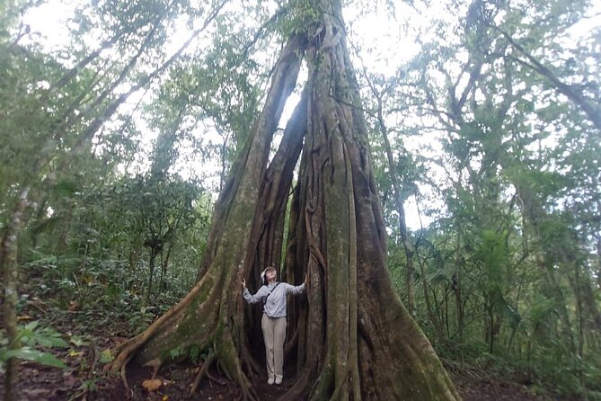 Munduk Twin Lake Jungle Trek with Sacred Forest Temples&Canoeing - Price and value: what $23.40 buys you (and what it doesn’t)