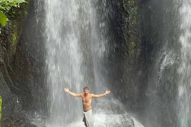 natural holy waterfalls healing tour. - Tegalalang Rice Terrace Lunch: A View That Actually Comes With Your Meal