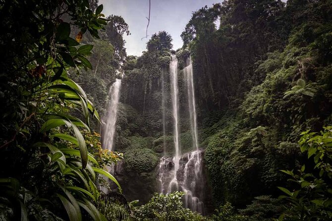 North Bali Tour: Banyumala Waterfall & Wanagiri Hidden Hills - Price and value for a $80 private North Bali day