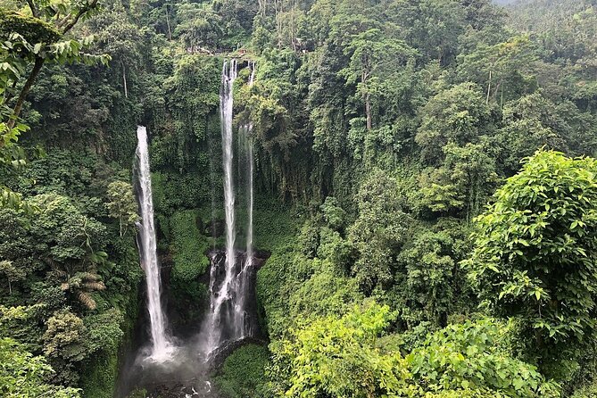 North Bali Tour: Banyumala Waterfall & Wanagiri Hidden Hills - Wanagiri Hidden Hills and the Bali Swing: the photo stop with scenery value