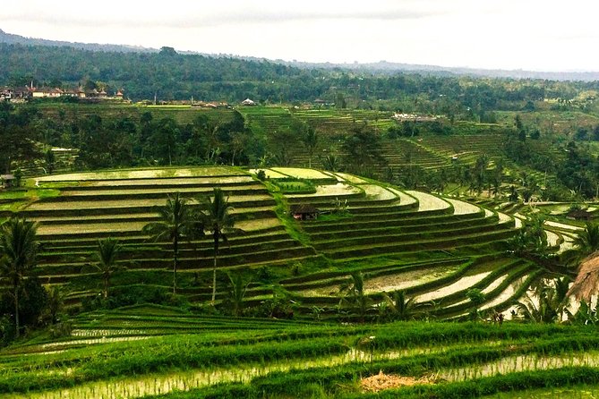 Nungnung Waterfall,Jatiluwih Heritage UNESCO and Bedugul Tour - Nungnung Waterfall: A Great First Stop for a Cool Reset
