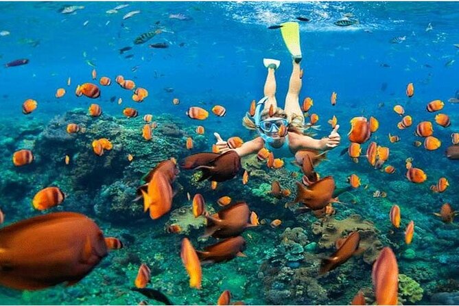 Nusa Penida Trip with Snorkeling all-Inclusive - Key highlights in plain terms