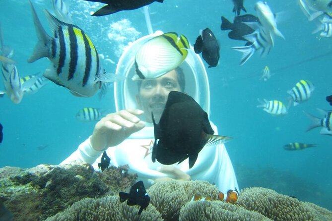 Nusa Penida Trip with Snorkeling all-Inclusive - Why Nusa Penida from Ubud feels easier than DIY