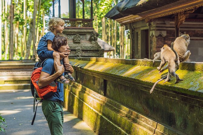 One Day Tour Ubud With Private Guide - Key Highlights You’ll Feel Right Away