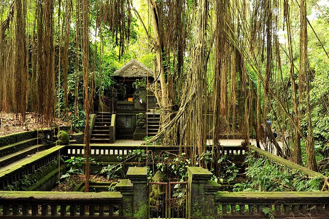 One Day Tour Ubud With Private Guide - Monkey Forest Sanctuary: A Shaded Walk With Real Wildlife Energy