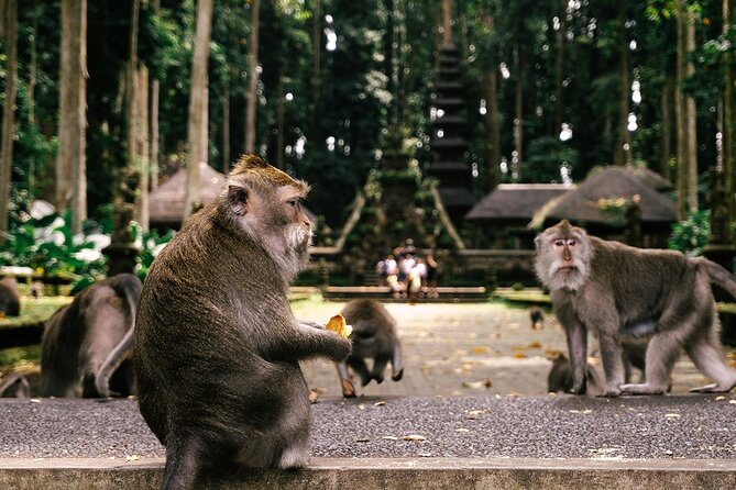 One Day Tour Ubud With Private Guide - Pura Tirta Empul: Hindu Purification at a Holy Spring