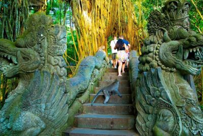 One Day Tour Ubud With Private Guide - Tegalalang Rice Terrace: Stroll Views and the Swing Photo Moment