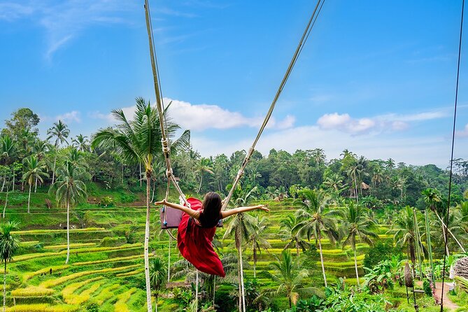 One Day Tour Ubud With Private Guide - Coffee Plantation Break: Tea, Traditional Making, and Forest Views