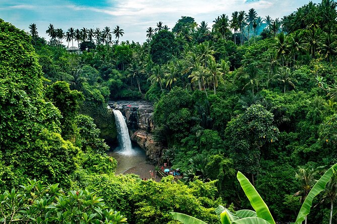 One Day Tour Ubud With Private Guide - Price and Logistics: Why $18.24 Can Feel Like a Deal