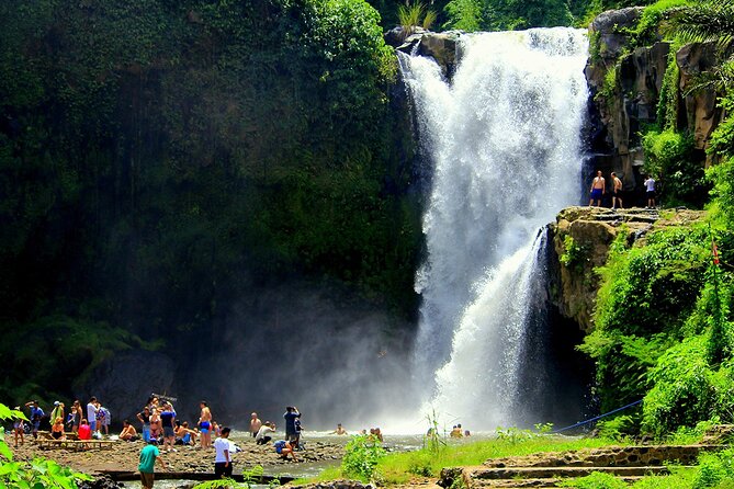 One Day Tour Ubud With Private Guide - The Best Fit: Who Should Book This Ubud One-Day Private Tour