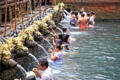Pick 5 Destinations: Customized Ubud Tour - Price and logistics: what you’re really paying for
