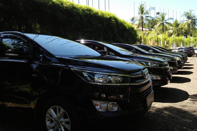 Private Bali Airport Arrival Transfer: Airport to Hotel (Arrival) - Private Ride Setup: Your Vehicle, Your Group, Your Luggage