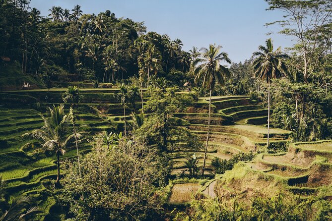 Private Bali Custom Tour – Full Day with English-Speaking Driver - How this private Ubud day tour keeps Bali easy