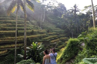 Private Bali Custom Tour – Full Day with English-Speaking Driver - Price and value: what $27.52 covers, and what to budget for