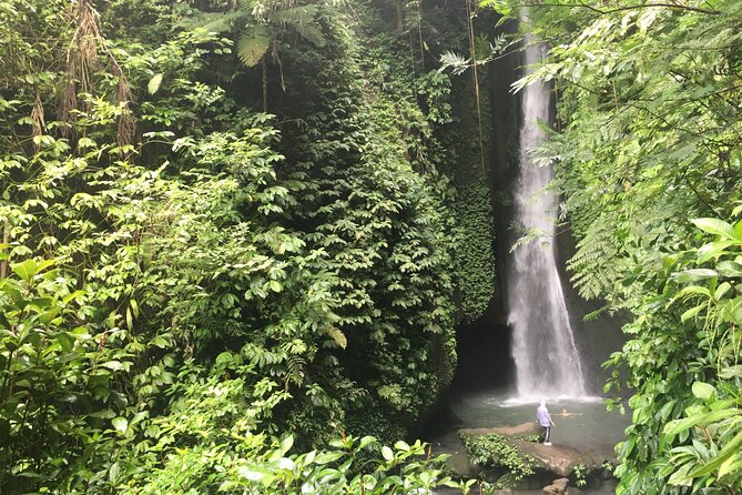 Private Bali Custom Tour – Full Day with English-Speaking Driver - Waterfalls and beaches: how to plan for swims, photos, and cash-only moments