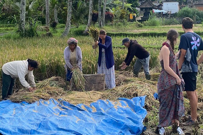 Private Bali Custom Tour – Full Day with English-Speaking Driver - How to build your custom mix (2–4 stops) without feeling rushed