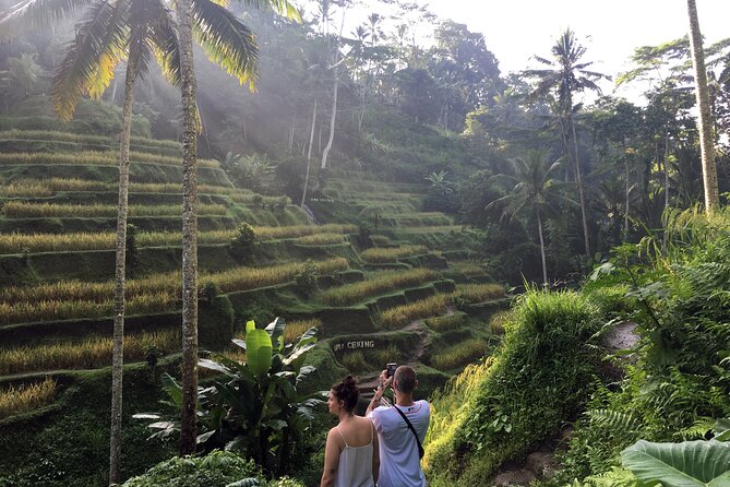 Private Bali Custom Tour – Full Day with English-Speaking Driver - Price and value: what $27.52 covers, and what to budget for