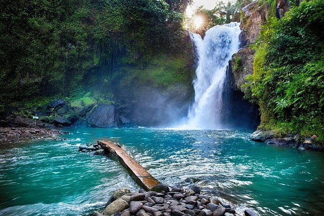Private Bali swing, waterfall instagramable tour - A Private Ubud Day Built for Waterfall + Swing Photos