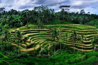 Private Bali swing, waterfall instagramable tour - Stop 1: Tegenungan Waterfall and the Real Work of the Steps
