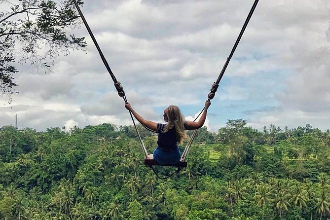 Private Bali Tour: Wonderful Ubud with Swing - A Private Ubud Day That Hits the Big Photos Without the Chaos