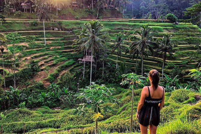Private Bali Tour: Wonderful Ubud with Swing - Tegenungan Waterfall: water time, with a practical mindset