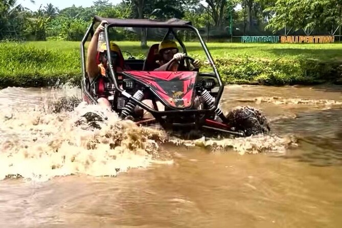 Private Bali UTV Adventure - A Private UTV Adventure Set in the Pertiwi Area