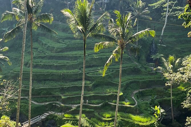 Private Car Charter Tour With Driver In Bali - Time and route flexibility: 6, 8, or 10 hours (plus optional add-ons)