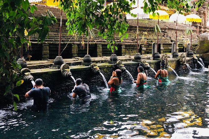 Private Custom Tour: 10-hour Tailor Made Tour of Bali - Ubud and north-central stops: monkeys, temples, rice terraces, and a waterfall