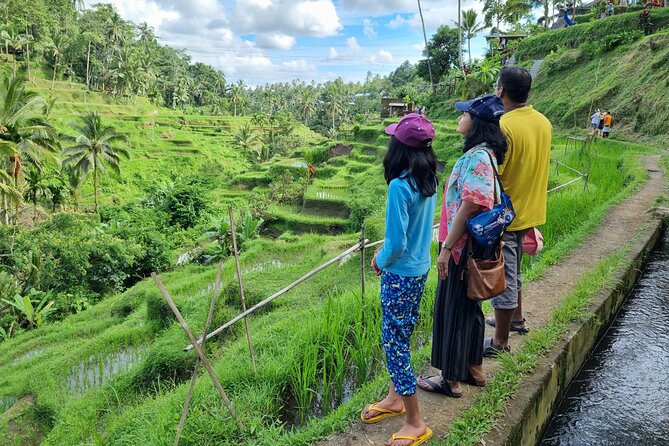 Private Customizable Bali Tour Visit with Transfer Included - Build Your Day Around Jungle, Coast, and Town
