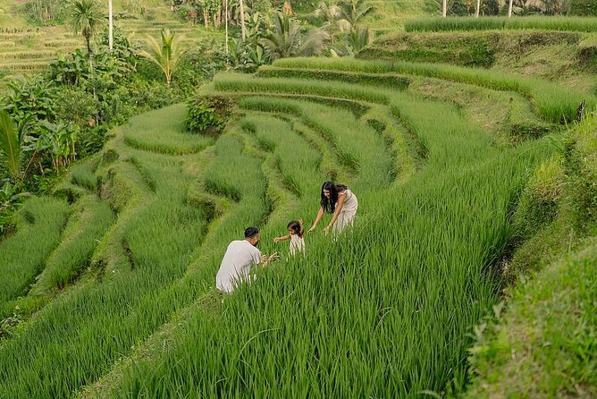 Private Customize Ubud Day Tour With Experienced Driver - Key Highlights You’ll Actually Feel During the Day