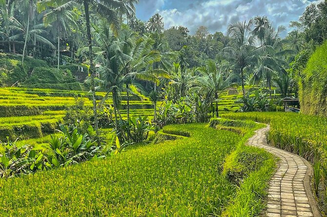 Private Customize Ubud Day Tour With Experienced Driver - How to Think About a 10-Hour Schedule (Temples, Rice, Waterfalls, Art)