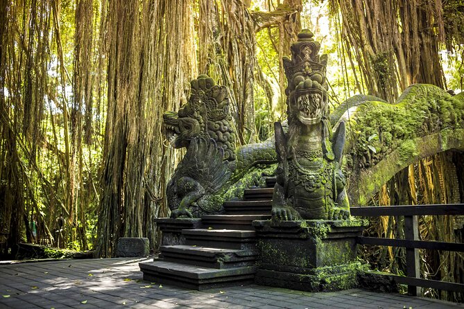 Private Customize Ubud Day Tour With Experienced Driver - Tegalalang Rice Terrace: The Iconic Ubud View (And Why It Matters)